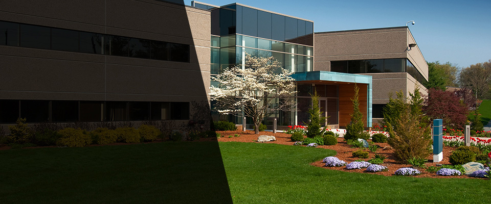 Brooksville Landscapers